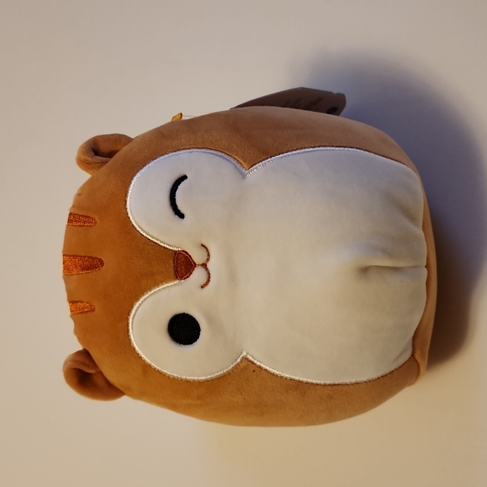 Brand new Squishmallows Quigley the squirrel Pillow